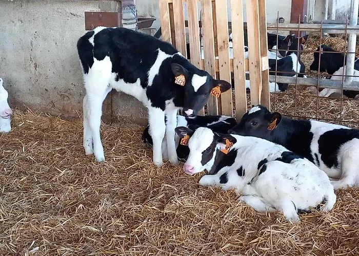 Trivalou Holiday home