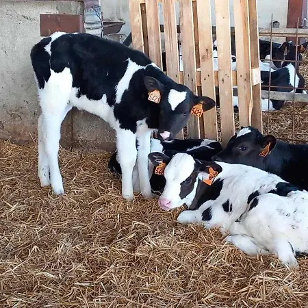 Trivalou Vakantiehuis